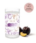 Charm Candle "Jäätunud ploom" - Kõrvarõngastega